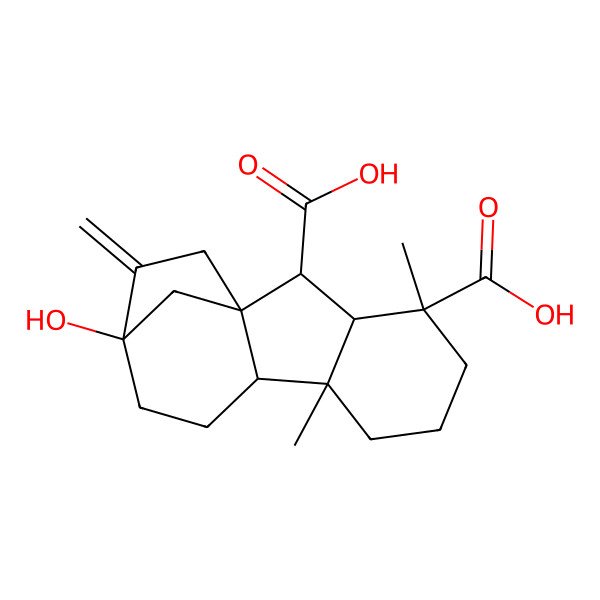 2D Structure of 12-Hydroxy-4,8-dimethyl-13-methylidenetetracyclo[10.2.1.01,9.03,8]pentadecane-2,4-dicarboxylic acid