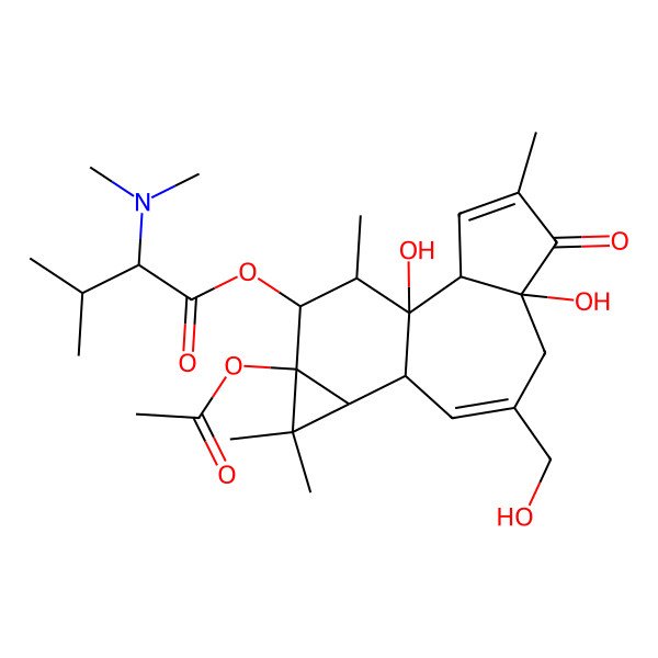 2D Structure of 12-O-[(2R)-N,N-dimethyl-3-methylbutanoyl]phorbol 13-acetate