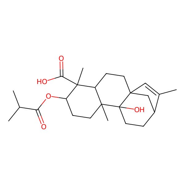 2D Structure of (1S,4S,5S,6R,9R,10R,13R)-10-hydroxy-5,9,14-trimethyl-6-(2-methylpropanoyloxy)tetracyclo[11.2.1.01,10.04,9]hexadec-14-ene-5-carboxylic acid
