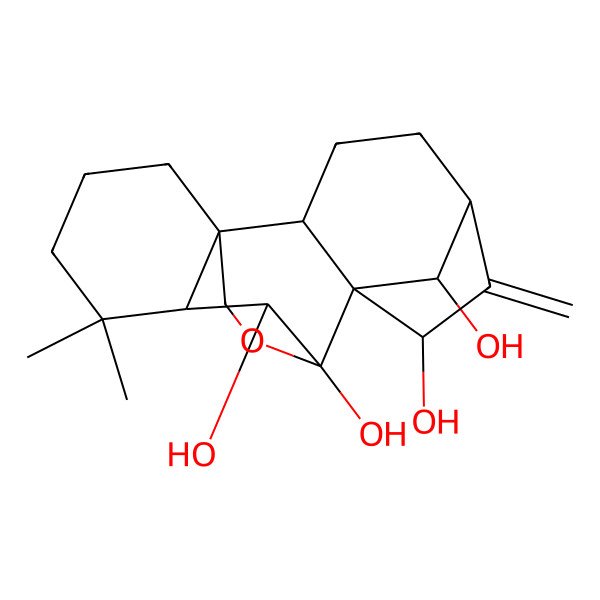 2D Structure of 12,12-Dimethyl-6-methylidene-17-oxapentacyclo[7.6.2.15,8.01,11.02,8]octadecane-7,9,10,18-tetrol