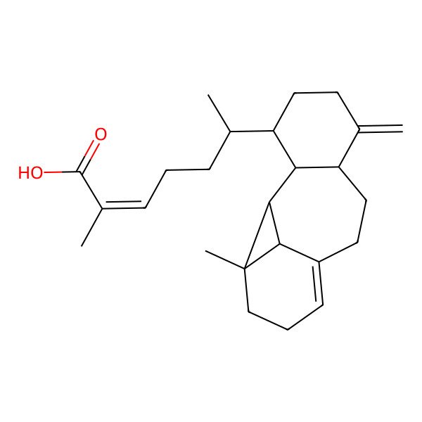 2D Structure of (E,6R)-2-methyl-6-[(1S,2R,3R,4R,11S,15S)-4-methyl-12-methylidene-15-tetracyclo[9.4.0.02,4.03,8]pentadec-7-enyl]hept-2-enoic acid
