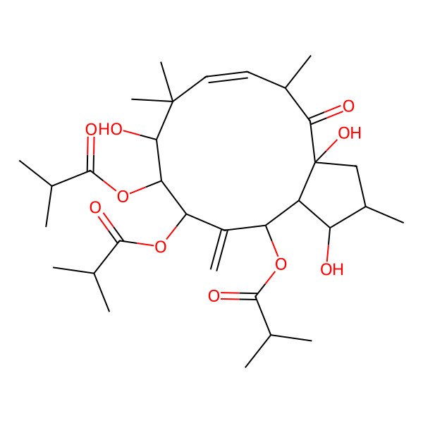 2D Structure of [(1S,2S,3aR,5S,6E,9S,10S,11S,13R,13aR)-1,3a,9-trihydroxy-2,5,8,8-tetramethyl-12-methylidene-11,13-bis(2-methylpropanoyloxy)-4-oxo-2,3,5,9,10,11,13,13a-octahydro-1H-cyclopenta[12]annulen-10-yl] 2-methylpropanoate