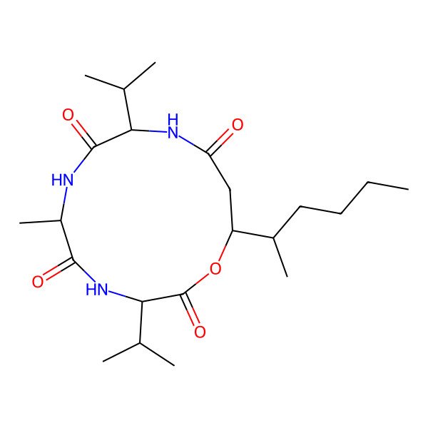2D Structure of 13-Hexan-2-yl-6-methyl-3,9-di(propan-2-yl)-1-oxa-4,7,10-triazacyclotridecane-2,5,8,11-tetrone