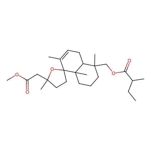 2D Structure of [5'-(2-methoxy-2-oxoethyl)-1,4a,5',6-tetramethylspiro[3,4,8,8a-tetrahydro-2H-naphthalene-5,2'-oxolane]-1-yl]methyl 2-methylbutanoate