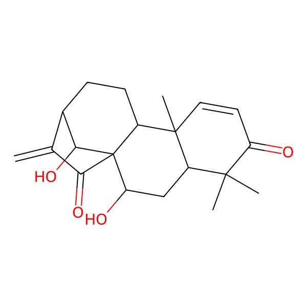 2D Structure of (1S,4R,9S,10R)-2,16-dihydroxy-5,5,9-trimethyl-14-methylidenetetracyclo[11.2.1.01,10.04,9]hexadec-7-ene-6,15-dione