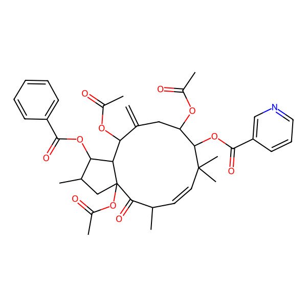 2D Structure of [(1S,2S,3aR,5S,6E,9S,10R,13R,13aR)-3a,10,13-triacetyloxy-1-benzoyloxy-2,5,8,8-tetramethyl-12-methylidene-4-oxo-2,3,5,9,10,11,13,13a-octahydro-1H-cyclopenta[12]annulen-9-yl] pyridine-3-carboxylate
