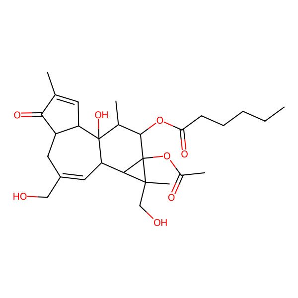 2D Structure of [13-Acetyloxy-1-hydroxy-8,12-bis(hydroxymethyl)-4,12,15-trimethyl-5-oxo-14-tetracyclo[8.5.0.02,6.011,13]pentadeca-3,8-dienyl] hexanoate