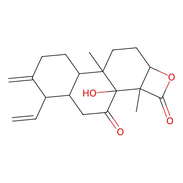 2D Structure of 6-Ethenyl-10-hydroxy-1,11-dimethyl-5-methylidene-13-oxatetracyclo[8.6.0.02,7.011,14]hexadecane-9,12-dione