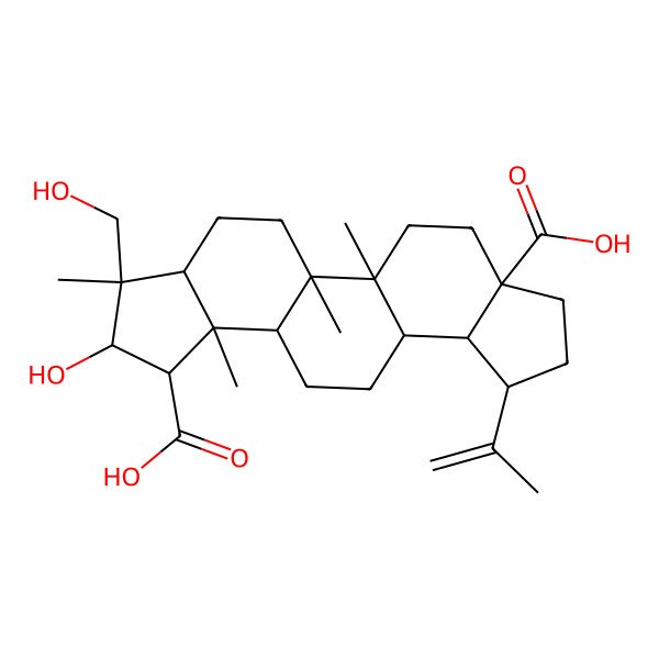 2D Structure of 16-Hydroxy-17-(hydroxymethyl)-1,2,14,17-tetramethyl-8-prop-1-en-2-ylpentacyclo[11.7.0.02,10.05,9.014,18]icosane-5,15-dicarboxylic acid