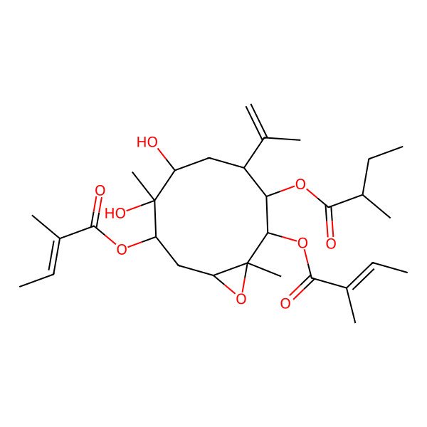 2D Structure of [(1R,2S,3S,4R,6R,7S,8S,10R)-6,7-dihydroxy-1,7-dimethyl-2,8-bis[[(Z)-2-methylbut-2-enoyl]oxy]-4-prop-1-en-2-yl-11-oxabicyclo[8.1.0]undecan-3-yl] (2R)-2-methylbutanoate