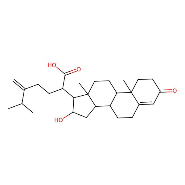 2D Structure of (2R)-2-[(8S,9S,10R,13S,14S,16R,17R)-16-hydroxy-10,13-dimethyl-3-oxo-1,2,6,7,8,9,11,12,14,15,16,17-dodecahydrocyclopenta[a]phenanthren-17-yl]-6-methyl-5-methylideneheptanoic acid