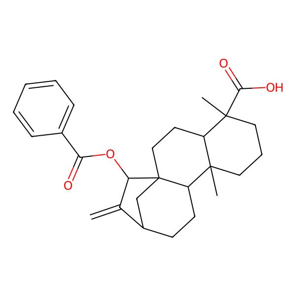 2D Structure of 15-Benzoyloxy-5,9-dimethyl-14-methylidenetetracyclo[11.2.1.01,10.04,9]hexadecane-5-carboxylic acid