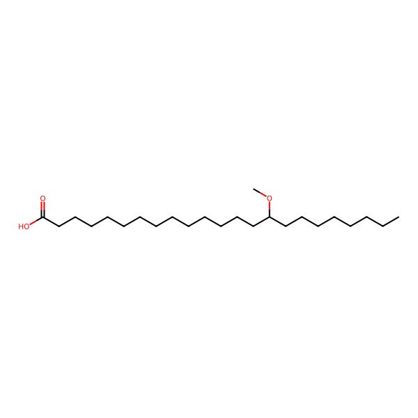 2D Structure of 15-Methoxy-tricosanoic acid