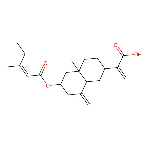 2D Structure of 2-[4a-Methyl-8-methylidene-6-(3-methylpent-2-enoyloxy)-1,2,3,4,5,6,7,8a-octahydronaphthalen-2-yl]prop-2-enoic acid