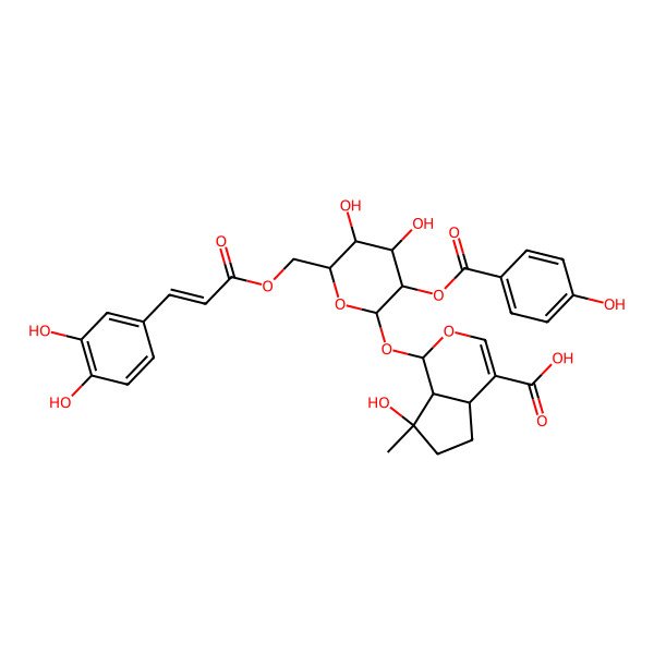 2D Structure of (1S,4aS,7S,7aS)-1-[(2S,3R,4S,5S,6R)-6-[[(E)-3-(3,4-dihydroxyphenyl)prop-2-enoyl]oxymethyl]-4,5-dihydroxy-3-(4-hydroxybenzoyl)oxyoxan-2-yl]oxy-7-hydroxy-7-methyl-4a,5,6,7a-tetrahydro-1H-cyclopenta[c]pyran-4-carboxylic acid