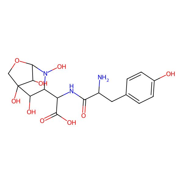 2D Structure of 2-[[2-Amino-3-(4-hydroxyphenyl)propanoyl]amino]-2-(2,4,5,8-tetrahydroxy-7-oxa-2-azabicyclo[3.2.1]octan-3-yl)acetic acid