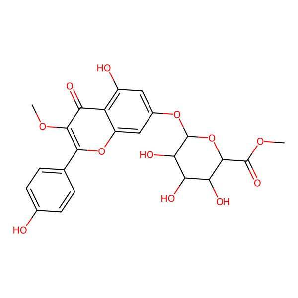 2D Structure of Methyl 3,4,5-trihydroxy-6-[5-hydroxy-2-(4-hydroxyphenyl)-3-methoxy-4-oxochromen-7-yl]oxyoxane-2-carboxylate