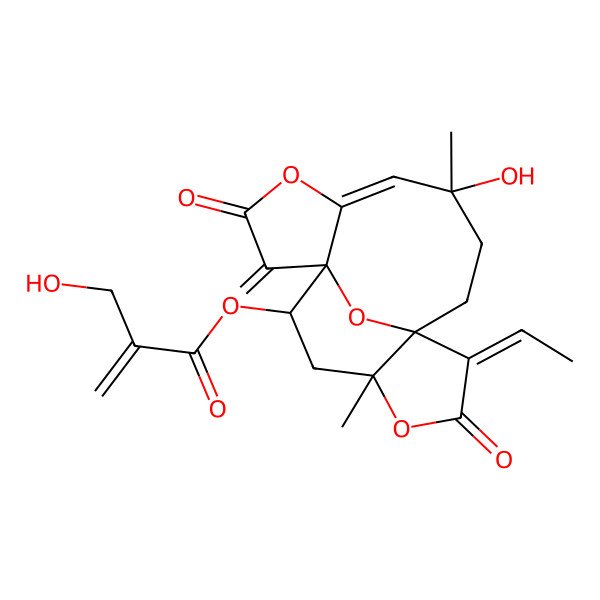 2D Structure of (11-Ethylidene-7-hydroxy-7,14-dimethyl-2-methylidene-3,12-dioxo-4,13,17-trioxatetracyclo[8.6.1.01,5.010,14]heptadec-5-en-16-yl) 2-(hydroxymethyl)prop-2-enoate
