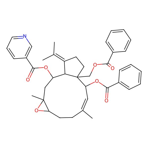 2D Structure of [(1S,2R,4S,6R,9E,11S,12S)-11-benzoyloxy-12-(benzoyloxymethyl)-4,9-dimethyl-15-propan-2-ylidene-5-oxatricyclo[10.3.0.04,6]pentadec-9-en-2-yl] pyridine-3-carboxylate