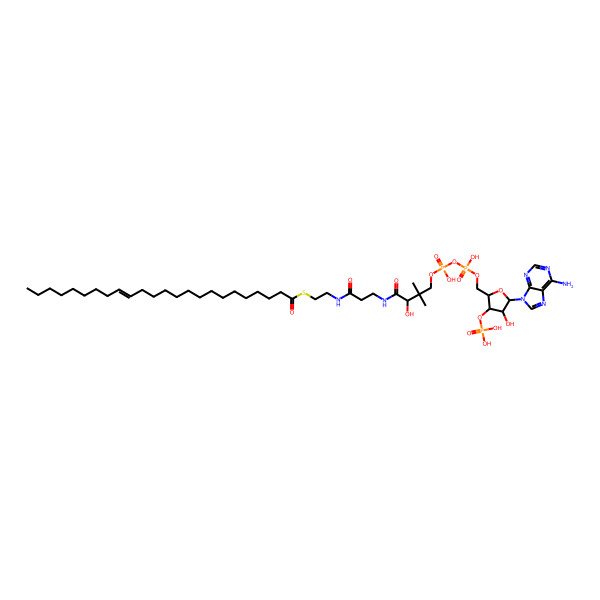 2D Structure of (15Z)-Tetracosenoyl-CoA