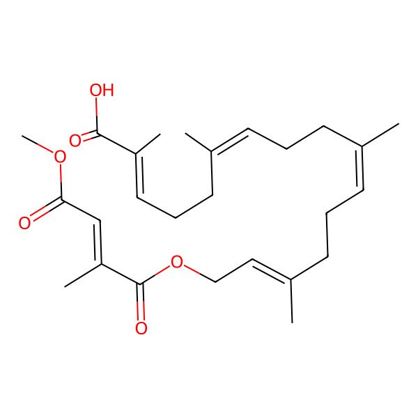 2D Structure of 16-(4-Methoxy-2-methyl-4-oxobut-2-enoyl)oxy-2,6,10,14-tetramethylhexadeca-2,6,10,14-tetraenoic acid