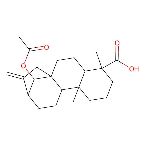 2D Structure of 16-Acetyloxy-5,9-dimethyl-14-methylidenetetracyclo[11.2.1.01,10.04,9]hexadecane-5-carboxylic acid