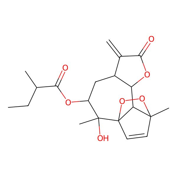 2D Structure of [(1S,2R,3R,5S,9S,10R,11R)-2-hydroxy-2,11-dimethyl-6-methylidene-7-oxo-8,12,13-trioxatetracyclo[9.2.2.01,10.05,9]pentadec-14-en-3-yl] (2R)-2-methylbutanoate