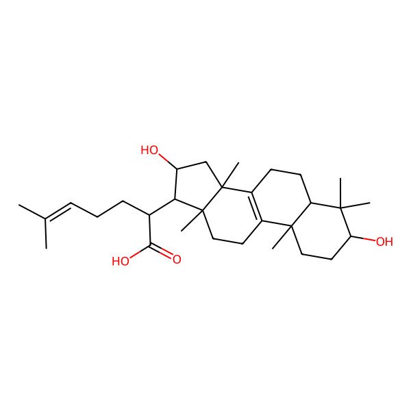 2D Structure of 16|A-Hydroxytrametenolic acid