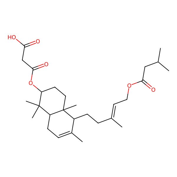 2D Structure of 3-[[(2S,4aS,5R,8aS)-1,1,4a,6-tetramethyl-5-[(E)-3-methyl-5-(3-methylbutanoyloxy)pent-3-enyl]-2,3,4,5,8,8a-hexahydronaphthalen-2-yl]oxy]-3-oxopropanoic acid