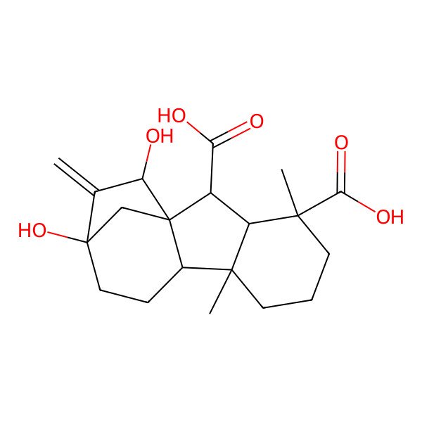2D Structure of (1S,2S,3S,4R,8S,9S,12S,14S)-12,14-dihydroxy-4,8-dimethyl-13-methylidenetetracyclo[10.2.1.01,9.03,8]pentadecane-2,4-dicarboxylic acid