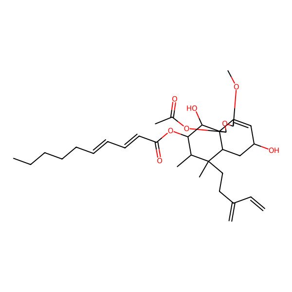 2D Structure of [(1R,3S,5R,6aS,7S,8S,9R,10R,10aS)-1-acetyloxy-5,10-dihydroxy-3-methoxy-7,8-dimethyl-7-(3-methylidenepent-4-enyl)-1,3,5,6,6a,8,9,10-octahydrobenzo[d][2]benzofuran-9-yl] (2E,4E)-deca-2,4-dienoate