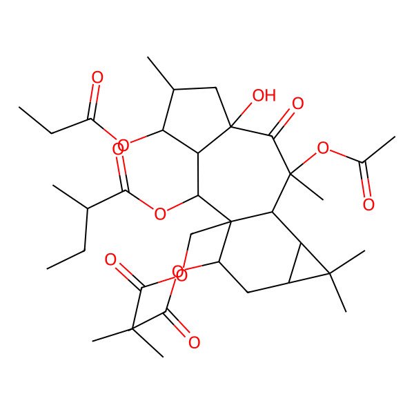 2D Structure of [(1R,2R,3R,4S,5S,7R,9S,10R,11S,13S,15R)-9,15-diacetyloxy-7-hydroxy-5,9,12,12-tetramethyl-1-(2-methylpropanoyloxymethyl)-8-oxo-4-propanoyloxy-2-tetracyclo[8.5.0.03,7.011,13]pentadecanyl] (2R)-2-methylbutanoate