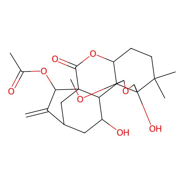 2D Structure of [(1S,4R,8R,9R,11S,12R,13S,14S,16R,18R)-9,14-dihydroxy-11-methoxy-7,7-dimethyl-17-methylidene-2-oxo-3,10-dioxapentacyclo[14.2.1.01,13.04,12.08,12]nonadecan-18-yl] acetate