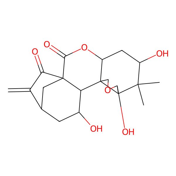 2D Structure of (1S,4S,6R,8R,9R,12S,13S,14R,16S)-6,9,14-trihydroxy-7,7-dimethyl-17-methylidene-3,10-dioxapentacyclo[14.2.1.01,13.04,12.08,12]nonadecane-2,18-dione
