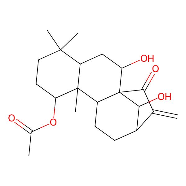 2D Structure of [(1R,2R,4R,8R,9R,10S,13S,16S)-2,16-dihydroxy-5,5,9-trimethyl-14-methylidene-15-oxo-8-tetracyclo[11.2.1.01,10.04,9]hexadecanyl] acetate