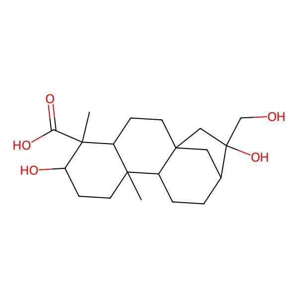 2D Structure of (1R,4R,5R,6R,9R,10S,13S,14S)-6,14-dihydroxy-14-(hydroxymethyl)-5,9-dimethyltetracyclo[11.2.1.01,10.04,9]hexadecane-5-carboxylic acid