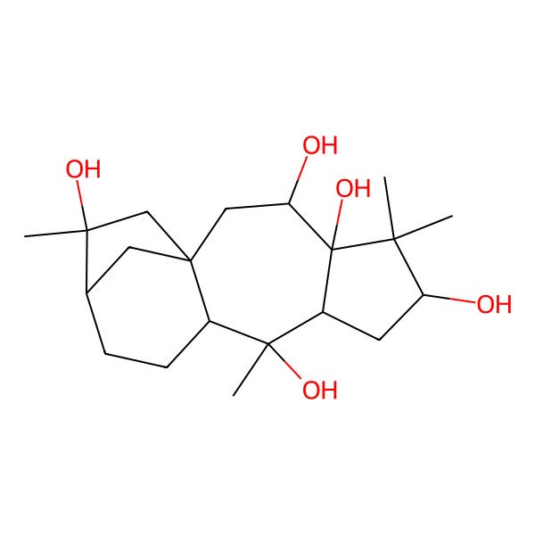 2D Structure of (1R,3R,4R,6S,8S,9R,10R,13R,14R)-5,5,9,14-tetramethyltetracyclo[11.2.1.01,10.04,8]hexadecane-3,4,6,9,14-pentol