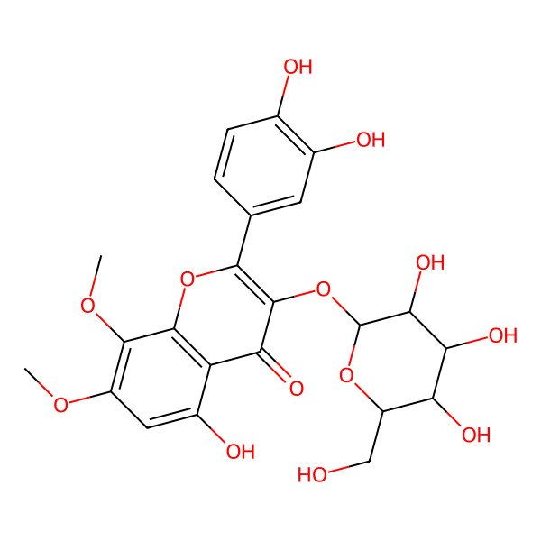 2D Structure of 2-(3,4-dihydroxyphenyl)-5-hydroxy-7,8-dimethoxy-3-[(2S,3R,4S,5S,6R)-3,4,5-trihydroxy-6-(hydroxymethyl)oxan-2-yl]oxychromen-4-one