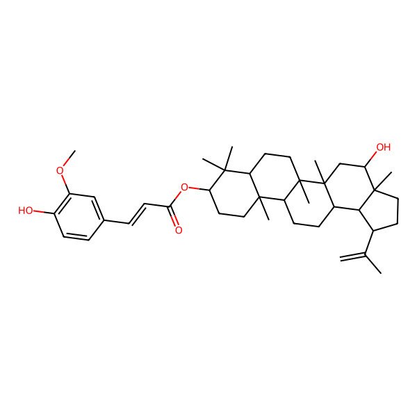 2D Structure of [(1R,3aS,4S,5aR,5bR,7aR,9S,11aR,11bR,13aR,13bR)-4-hydroxy-3a,5a,5b,8,8,11a-hexamethyl-1-prop-1-en-2-yl-1,2,3,4,5,6,7,7a,9,10,11,11b,12,13,13a,13b-hexadecahydrocyclopenta[a]chrysen-9-yl] (E)-3-(4-hydroxy-3-methoxyphenyl)prop-2-enoate