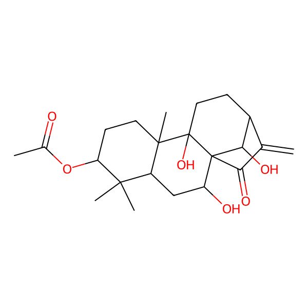 2D Structure of [(1R,2R,4R,6S,9R,10R,13S,16R)-2,10,16-trihydroxy-5,5,9-trimethyl-14-methylidene-15-oxo-6-tetracyclo[11.2.1.01,10.04,9]hexadecanyl] acetate