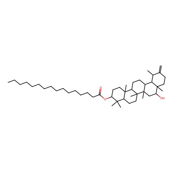 2D Structure of (8-Hydroxy-4,4,6a,6b,8a,12,14b-heptamethyl-11-methylidene-1,2,3,4a,5,6,6a,7,8,9,10,12,12a,13,14,14a-hexadecahydropicen-3-yl) hexadecanoate