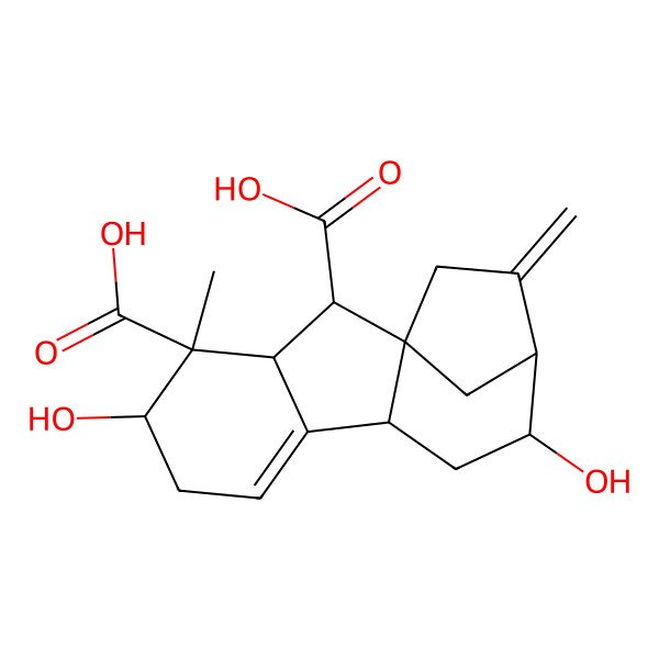 2D Structure of (1R,2S,3S,4S,5S,9R,11S,12R)-5,11-dihydroxy-4-methyl-13-methylidenetetracyclo[10.2.1.01,9.03,8]pentadec-7-ene-2,4-dicarboxylic acid