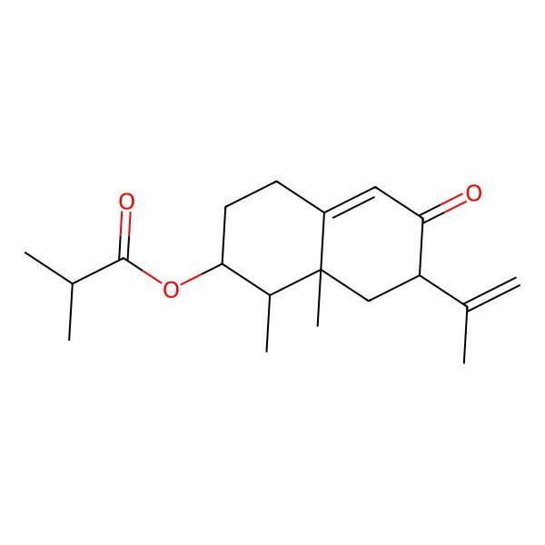 2D Structure of (1,8a-Dimethyl-6-oxo-7-prop-1-en-2-yl-1,2,3,4,7,8-hexahydronaphthalen-2-yl) 2-methylpropanoate