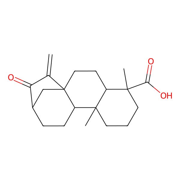 2D Structure of (1R,4S,5R,9S,10S,13R)-5,9-dimethyl-15-methylidene-14-oxotetracyclo[11.2.1.01,10.04,9]hexadecane-5-carboxylic acid