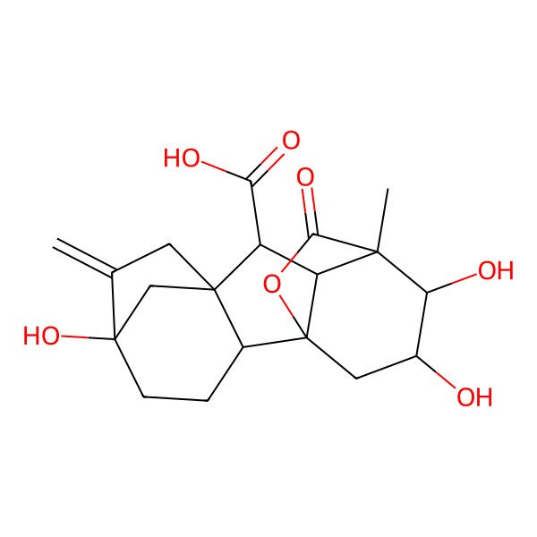 2D Structure of (1R,2R,5S,8S,9S,10R,11S,12R,13R)-5,12,13-trihydroxy-11-methyl-6-methylidene-16-oxo-15-oxapentacyclo[9.3.2.15,8.01,10.02,8]heptadecane-9-carboxylic acid