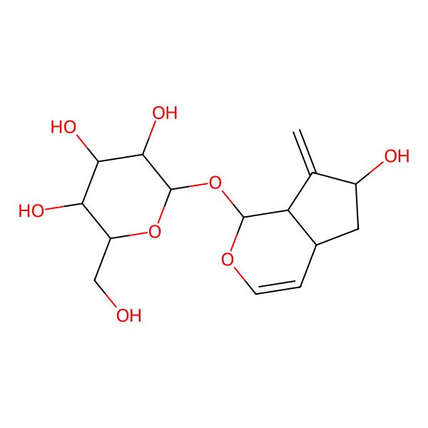 2D Structure of (2S,3S,4R,5R,6S)-2-[[(1S,4aS,6S,7aS)-6-hydroxy-7-methylidene-4a,5,6,7a-tetrahydro-1H-cyclopenta[c]pyran-1-yl]oxy]-6-(hydroxymethyl)oxane-3,4,5-triol