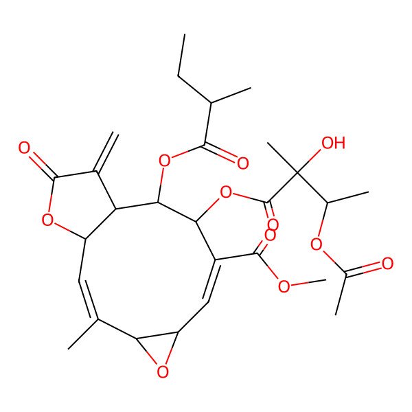 2D Structure of methyl (1R,2E,4S,6R,7E,9S,10S,11S)-9-[(2S,3R)-3-acetyloxy-2-hydroxy-2-methylbutanoyl]oxy-3-methyl-10-[(2R)-2-methylbutanoyl]oxy-12-methylidene-13-oxo-5,14-dioxatricyclo[9.3.0.04,6]tetradeca-2,7-diene-8-carboxylate