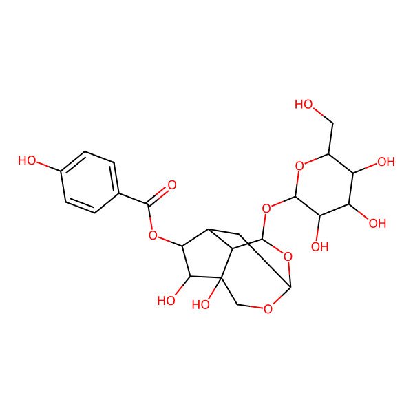 2D Structure of [(1R,4S,5R,6S,7R,8S,9S)-4,5-dihydroxy-9-[(2S,3R,4S,5S,6R)-3,4,5-trihydroxy-6-(hydroxymethyl)oxan-2-yl]oxy-2,10-dioxatricyclo[5.3.1.04,8]undecan-6-yl] 4-hydroxybenzoate