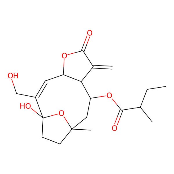2D Structure of [(1S,2Z,4R,8R,9R,11R)-1-hydroxy-2-(hydroxymethyl)-11-methyl-7-methylidene-6-oxo-5,14-dioxatricyclo[9.2.1.04,8]tetradec-2-en-9-yl] (2R)-2-methylbutanoate