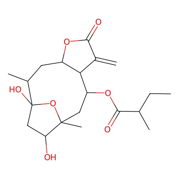 2D Structure of (1,12-Dihydroxy-2,11-dimethyl-7-methylidene-6-oxo-5,14-dioxatricyclo[9.2.1.04,8]tetradecan-9-yl) 2-methylbutanoate